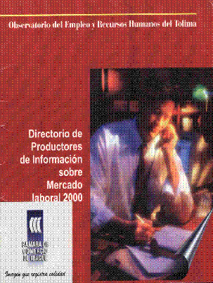 Directorio de productores de informacion sobre mercado laboral 2000