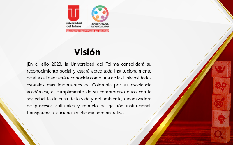 vision21