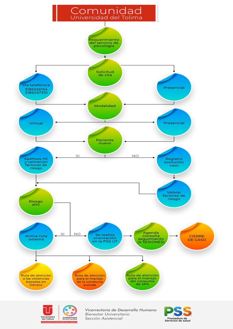 Ruta de Acceso al Servicio de Psicología