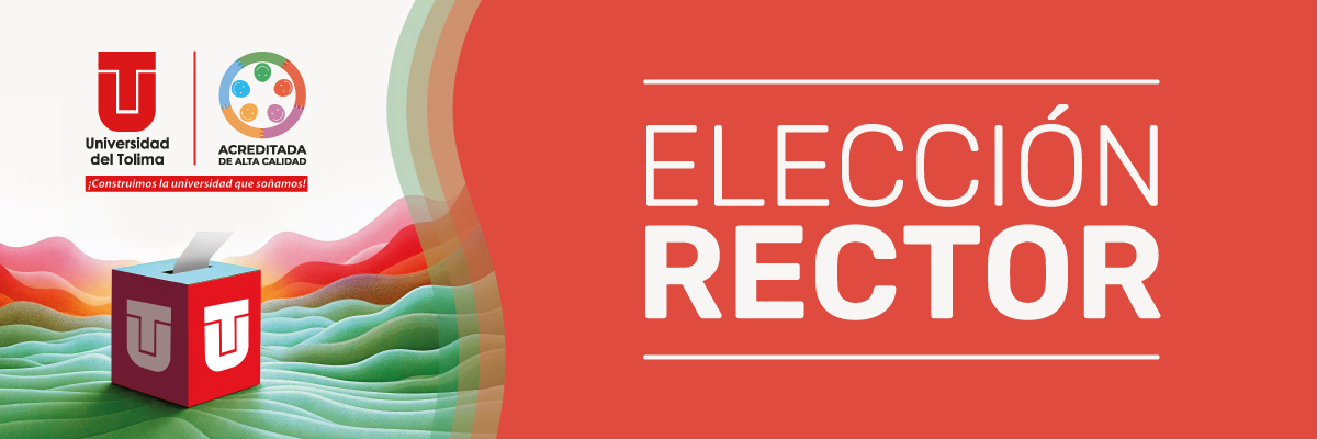 Pieza interna sección convocatoria 2