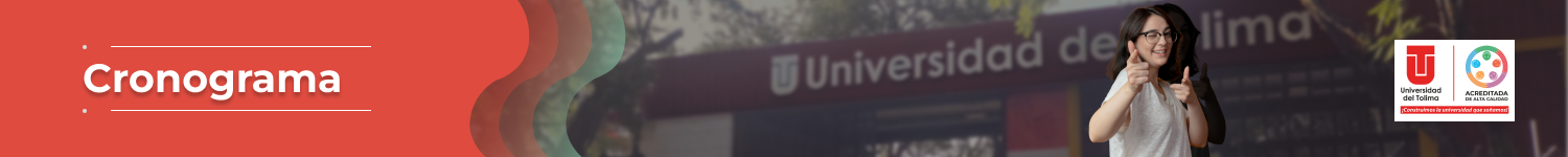Banner Cronograma