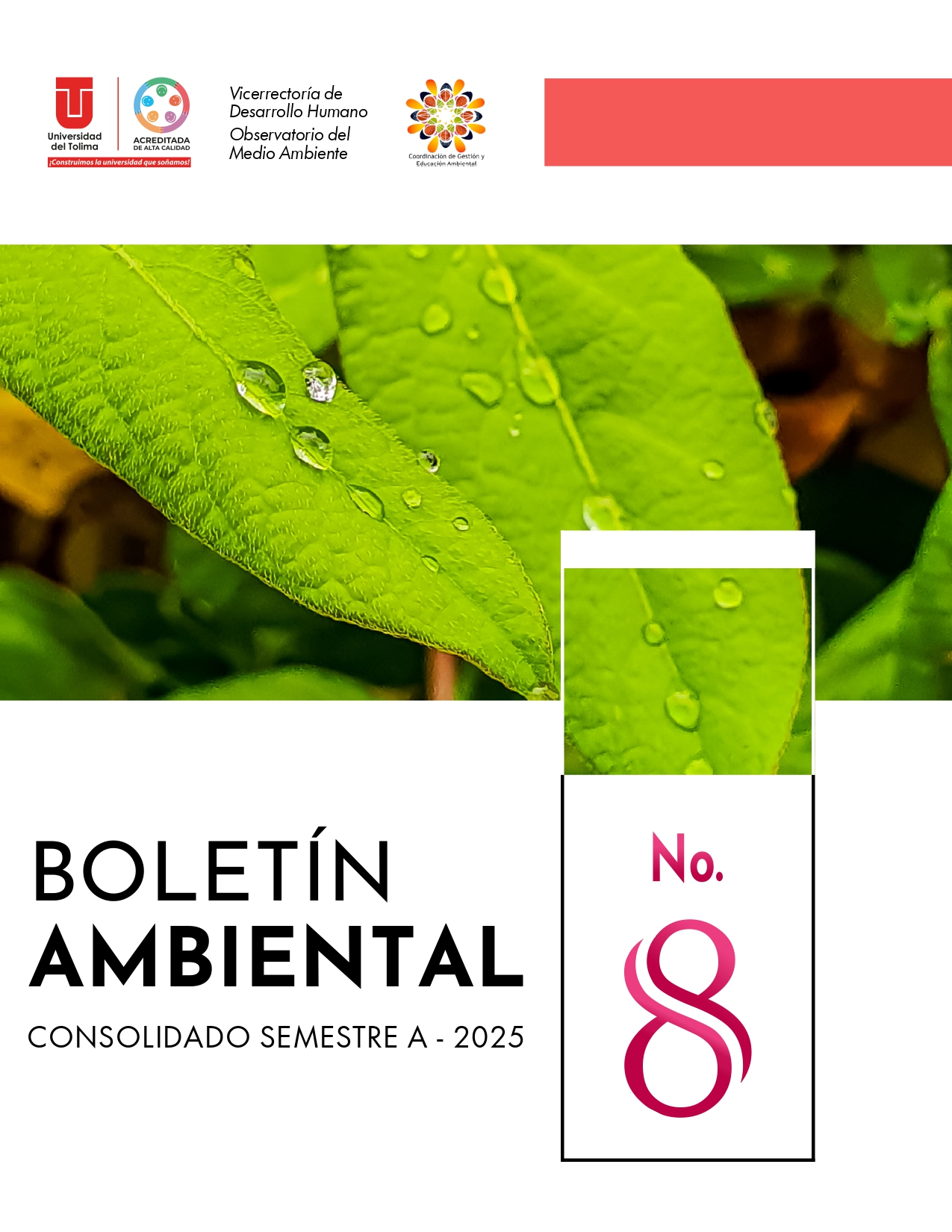 Boletin N8 1 page 0001