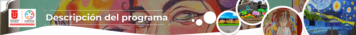 Banner Descripción del programa